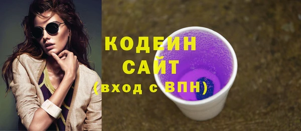 молекула духа Богданович