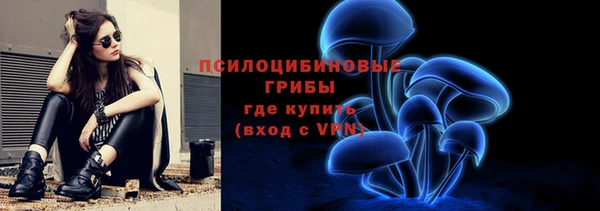 винт Бронницы