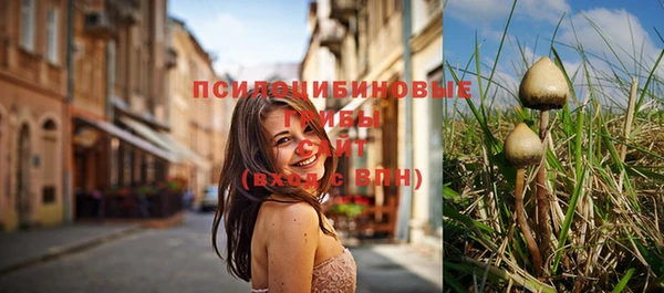 винт Бронницы